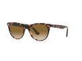 Ray-Ban Wayfarer Ii Aurinkolasit RB 2185 1334/51