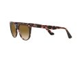 Ray-Ban Wayfarer Ii Aurinkolasit RB 2185 1334/51