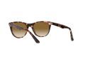 Ray-Ban Wayfarer Ii Aurinkolasit RB 2185 1334/51