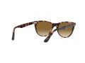 Ray-Ban Wayfarer Ii Aurinkolasit RB 2185 1334/51