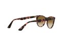 Ray-Ban Wayfarer Ii Aurinkolasit RB 2185 1334/51