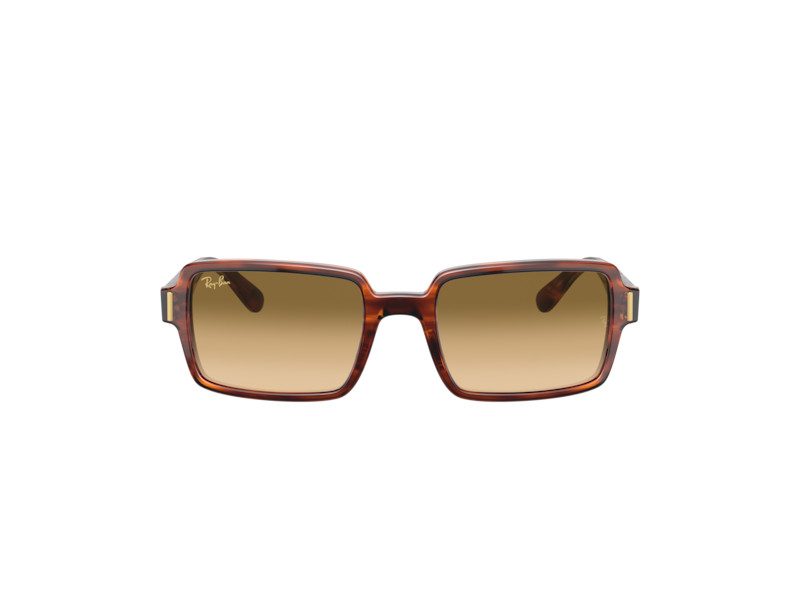 Ray-Ban Benji Aurinkolasit RB 2189 954/51