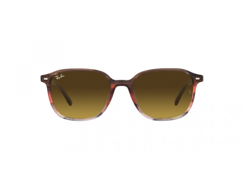 Ray-Ban Leonard Aurinkolasit RB 2193 138085