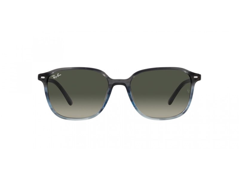 Ray-Ban Leonard Aurinkolasit RB 2193 138171