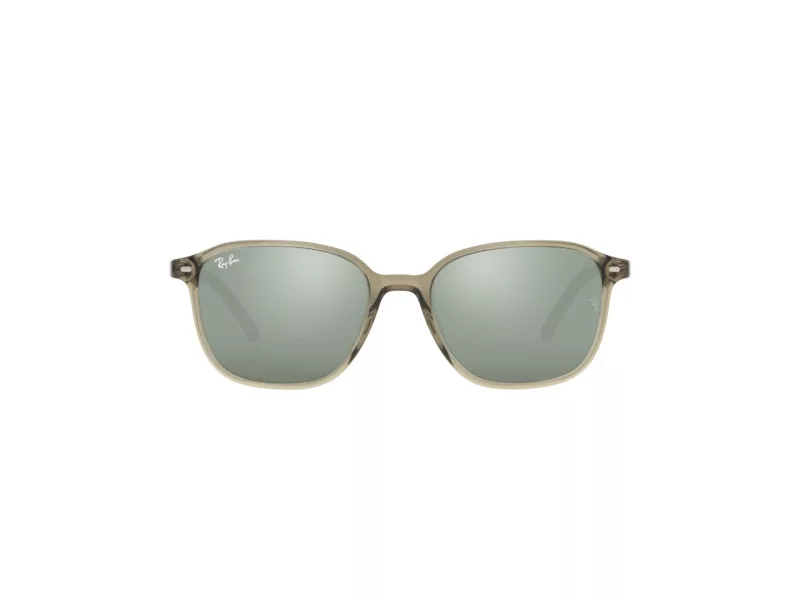 Ray-Ban Leonard Aurinkolasit RB 2193 6635/5C