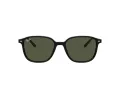 Ray-Ban Leonard Aurinkolasit RB 2193 901/31