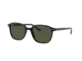 Ray-Ban Leonard Aurinkolasit RB 2193 901/31