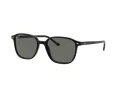 Ray-Ban Leonard Aurinkolasit RB 2193 901/58