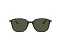 Ray-Ban Leonard Aurinkolasit RB 2193 902/31