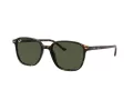 Ray-Ban Leonard Aurinkolasit RB 2193 902/31