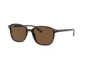 Ray-Ban Leonard Aurinkolasit RB 2193 902/57