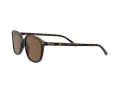 Ray-Ban Leonard Aurinkolasit RB 2193 902/57