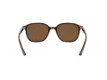 Ray-Ban Leonard Aurinkolasit RB 2193 902/57