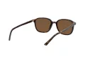 Ray-Ban Leonard Aurinkolasit RB 2193 902/57