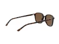Ray-Ban Leonard Aurinkolasit RB 2193 902/57