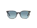 Ray-Ban Elliot Aurinkolasit RB 2197 13563M
