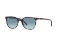 Ray-Ban Elliot Aurinkolasit RB 2197 13563M