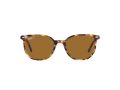 Ray-Ban Elliot Aurinkolasit RB 2197 1357/57