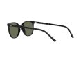 Ray-Ban Elliot Aurinkolasit RB 2197 901/31