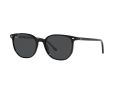 Ray-Ban Elliot Aurinkolasit RB 2197 901/48