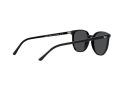 Ray-Ban Elliot Aurinkolasit RB 2197 901/48