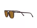 Ray-Ban Elliot Aurinkolasit RB 2197 902/33
