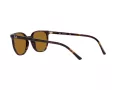 Ray-Ban Elliot Aurinkolasit RB 2197 902/33