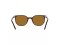 Ray-Ban Elliot Aurinkolasit RB 2197 902/33
