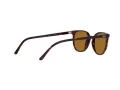 Ray-Ban Elliot Aurinkolasit RB 2197 902/33