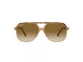 Ray-Ban Bill Aurinkolasit RB 2198 129251