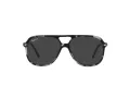 Ray-Ban Bill Aurinkolasit RB 2198 133348
