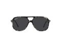 Ray-Ban Bill Aurinkolasit RB 2198 133348