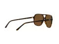 Ray-Ban Bill Aurinkolasit RB 2198 902/57