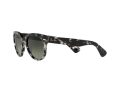 Ray-Ban Orion Aurinkolasit RB 2199 1333/71