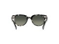 Ray-Ban Orion Aurinkolasit RB 2199 1333/71