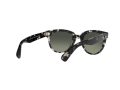 Ray-Ban Orion Aurinkolasit RB 2199 1333/71