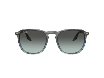 Ray-Ban Aurinkolasit RB 0RB2203 1391GK