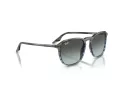 Ray-Ban Aurinkolasit RB 0RB2203 1391GK