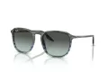 Ray-Ban Aurinkolasit RB 0RB2203 1391GK