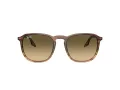 Ray-Ban Aurinkolasit RB 0RB2203 13920A