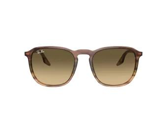 Ray-Ban Aurinkolasit RB 0RB2203 13920A