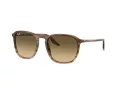 Ray-Ban Aurinkolasit RB 0RB2203 13920A