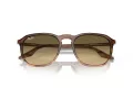 Ray-Ban Aurinkolasit RB 0RB2203 13920A