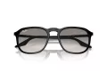 Ray-Ban Aurinkolasit RB 0RB2203 901/32