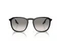 Ray-Ban Aurinkolasit RB 0RB2203 901/32