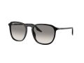 Ray-Ban Aurinkolasit RB 0RB2203 901/32
