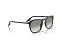 Ray-Ban Aurinkolasit RB 0RB2203 901/32