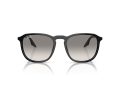 Ray-Ban Aurinkolasit RB 0RB2203 901/32