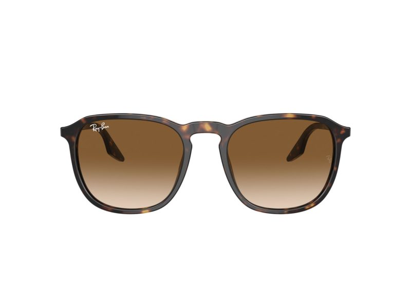 Ray-Ban Aurinkolasit RB 0RB2203 902/51