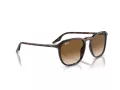 Ray-Ban Aurinkolasit RB 0RB2203 902/51
